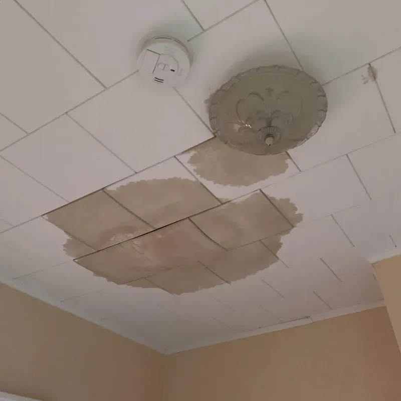 Ceiling Water Damage Repair in Belle Plaine, MN