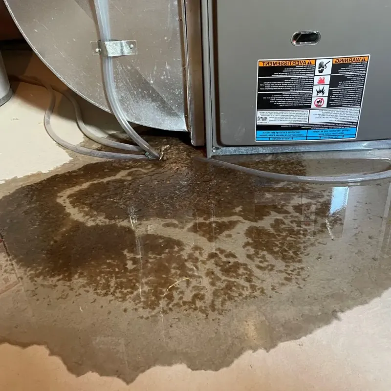 Pipe Burst and Leak Restoration in Belle Plaine, MN