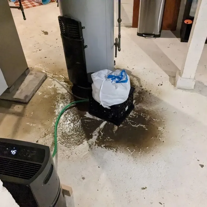 Sewage Backup Cleanup Service in Belle Plaine, MN
